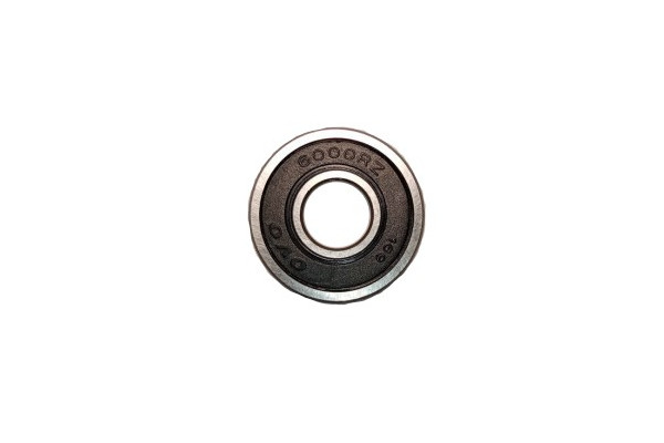 Bearing 6000RZ X-scooters XR01 EEC 36V