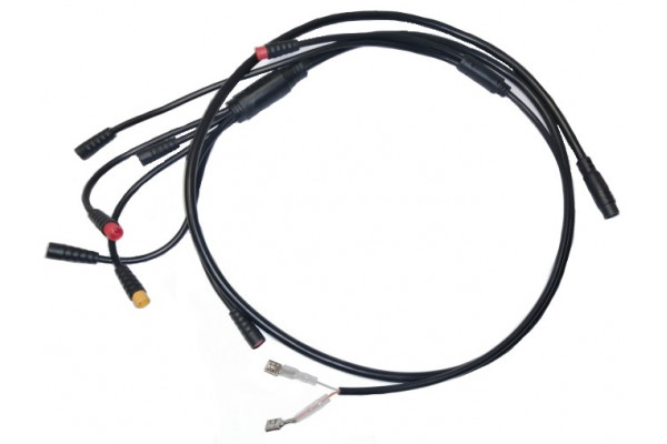 Wire harness X-scooters XR01 EEC 36V